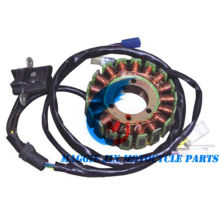 Motorrad Teile Magnetor Stator für Bajaj 3W4s